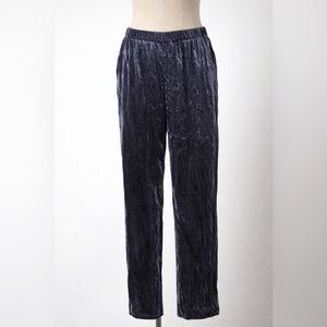 Anthropologie Goth Navy Crushed Velvet Pull On Pants XXS NWT